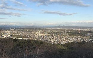 竜王山はなだより（オカトラノオ)